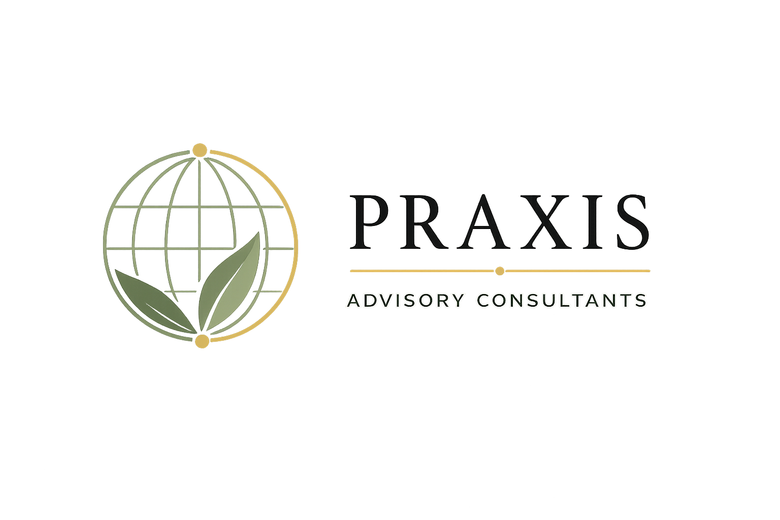 Praxis Advisory Consultants logo
